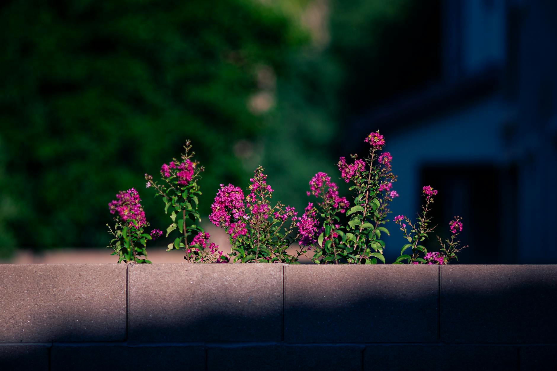 Detailansicht: FC Sion – Winterthur