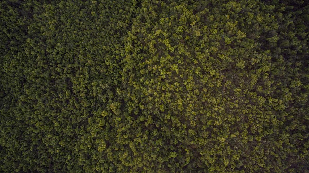 Detailansicht: Flugzeugabsturz Kolumbien