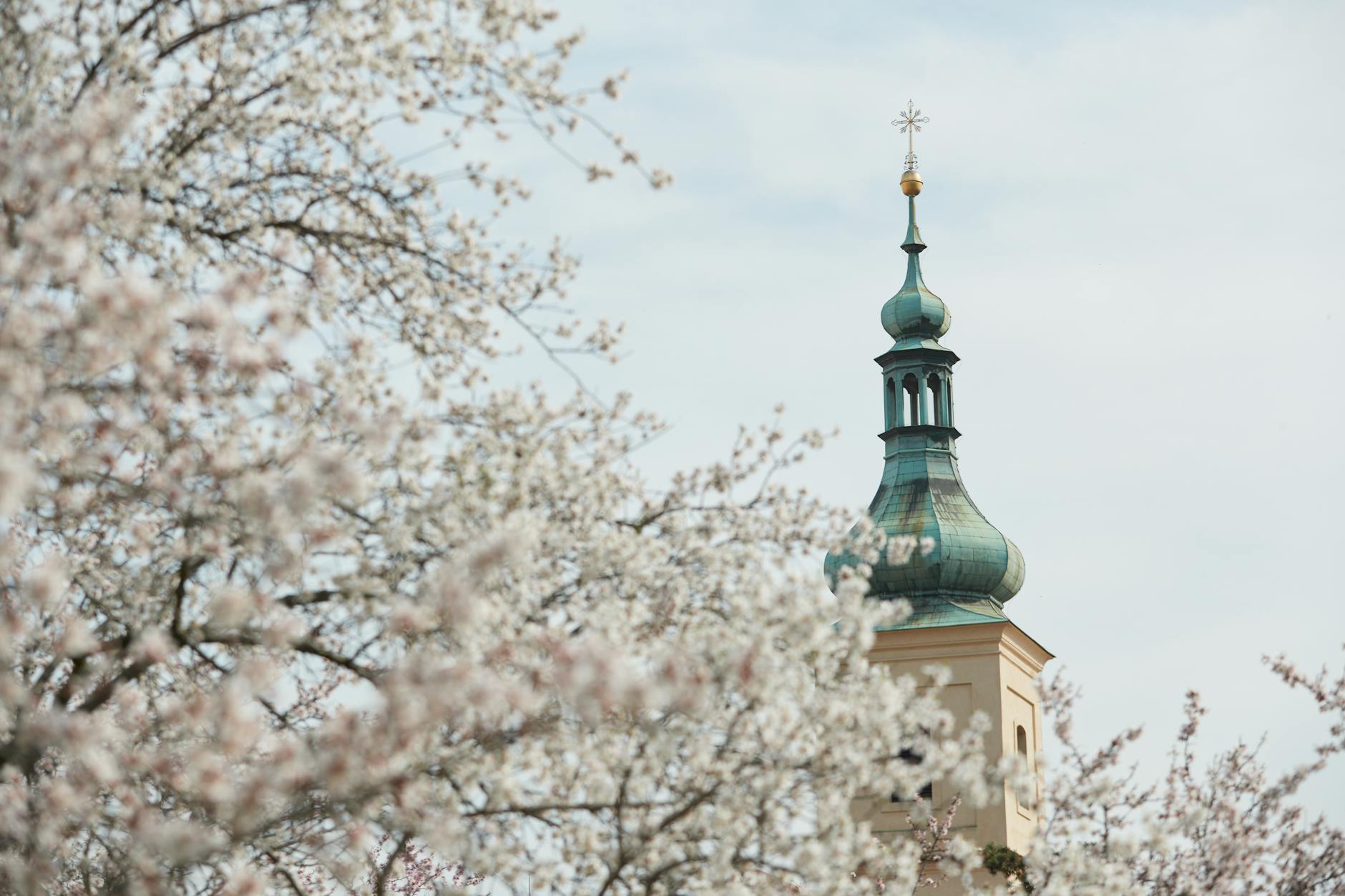 Symbolbild zum Thema Frühlingsanfang