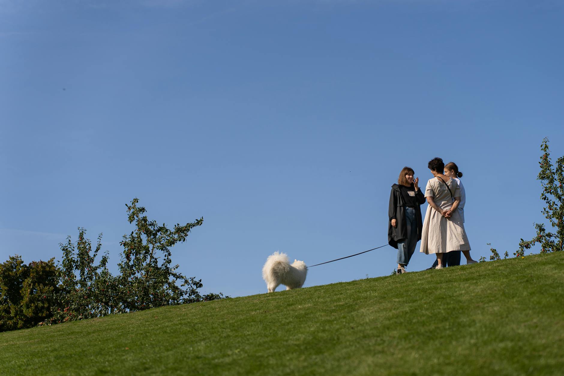 Illustration zu Hannah Waddingham Freund