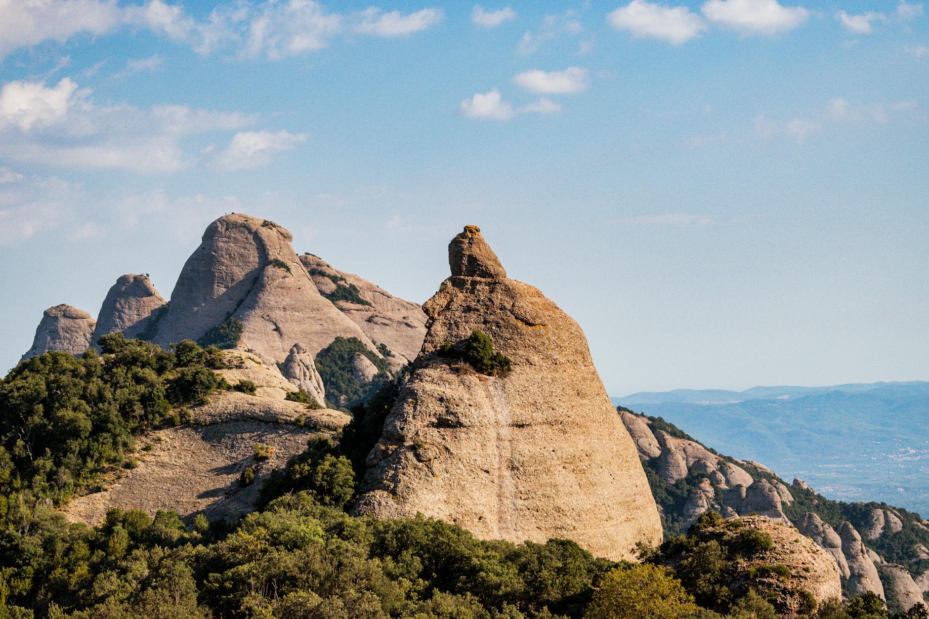 Illustration zu Hartberg – Blau-weiß Linz