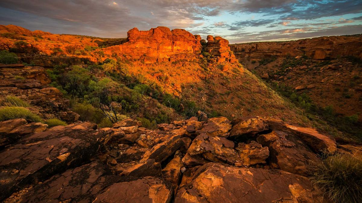 Detailansicht: Hertha – FCN