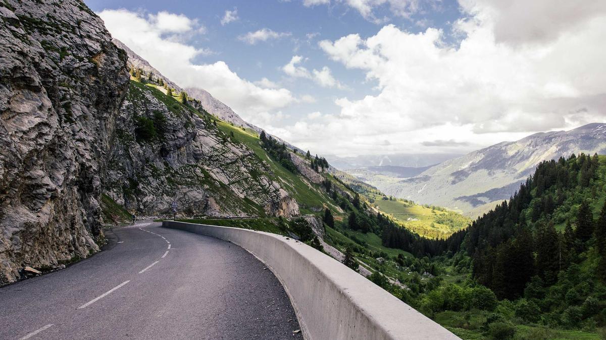 Symbolbild zum Thema Hunde Leckerli Selber Machen