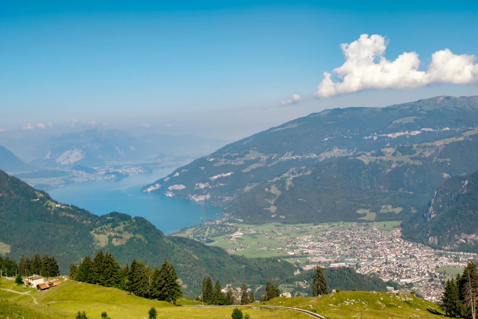 Illustration zu Ig Nobelpreis Zürich