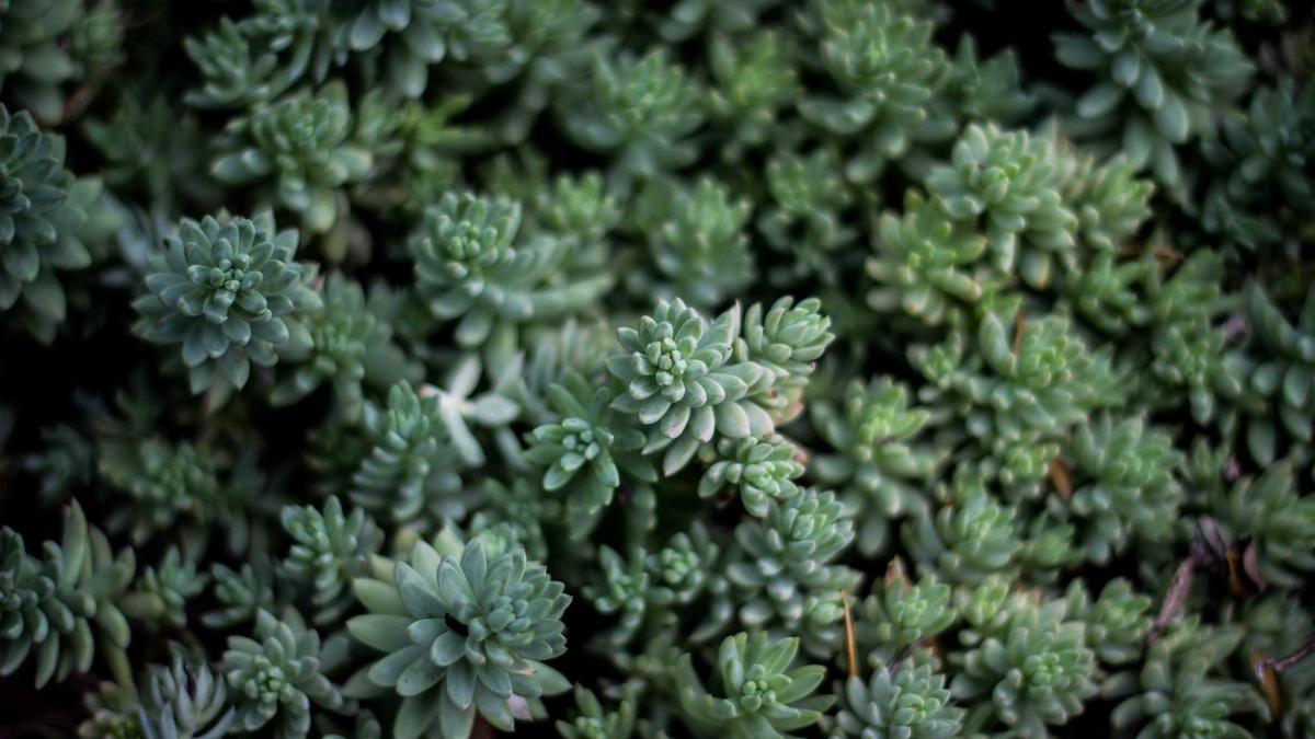 Detailansicht: Jugendschutzgesetz Einheitlich