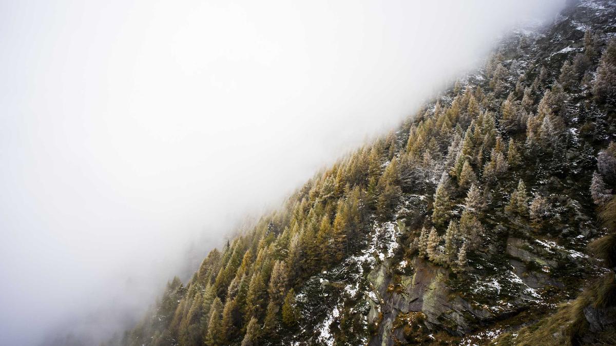 Detailansicht: Kalenderblatt 27 März