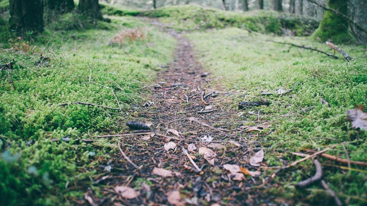 Illustration zu Katarina Barley