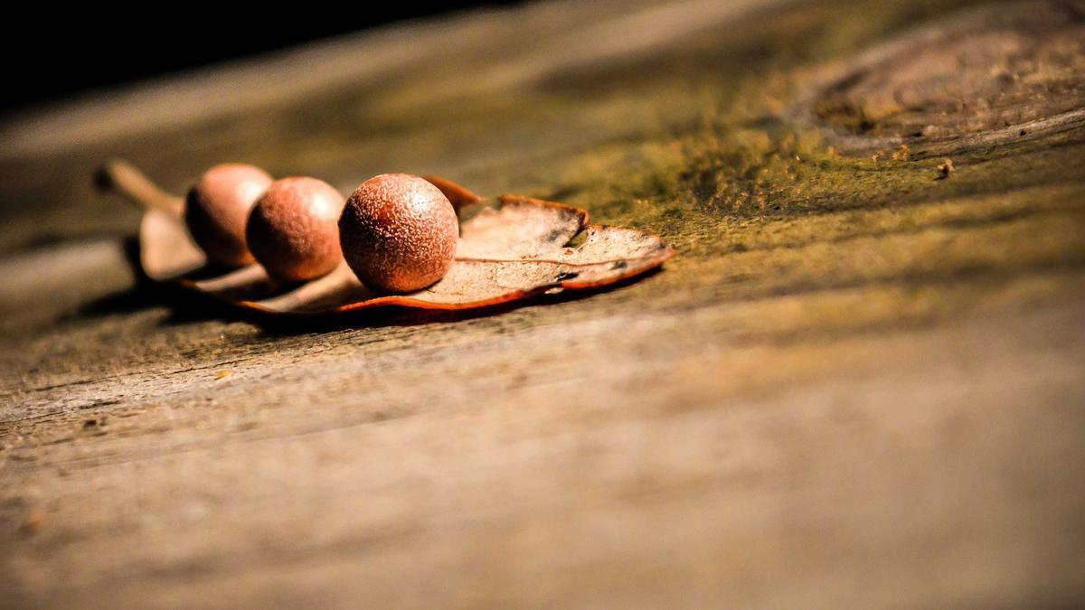 Symbolbild zum Thema Kosovo WM Quali