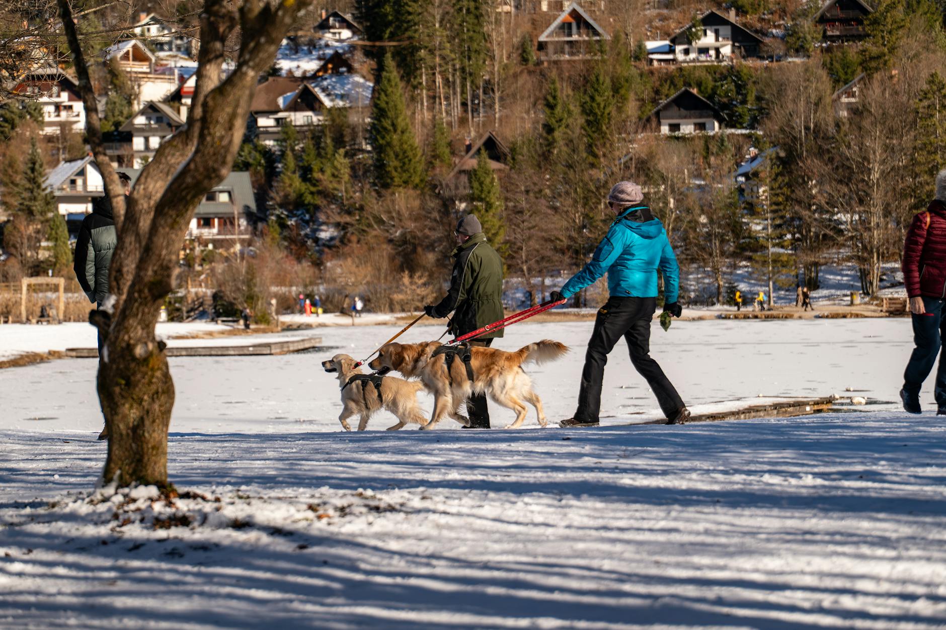 Symbolbild zum Thema Kranjska Gora Ski Weltcup