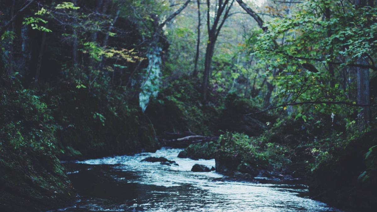 Symbolbild zum Thema Leonardo Dicaprio Jojo Effekt