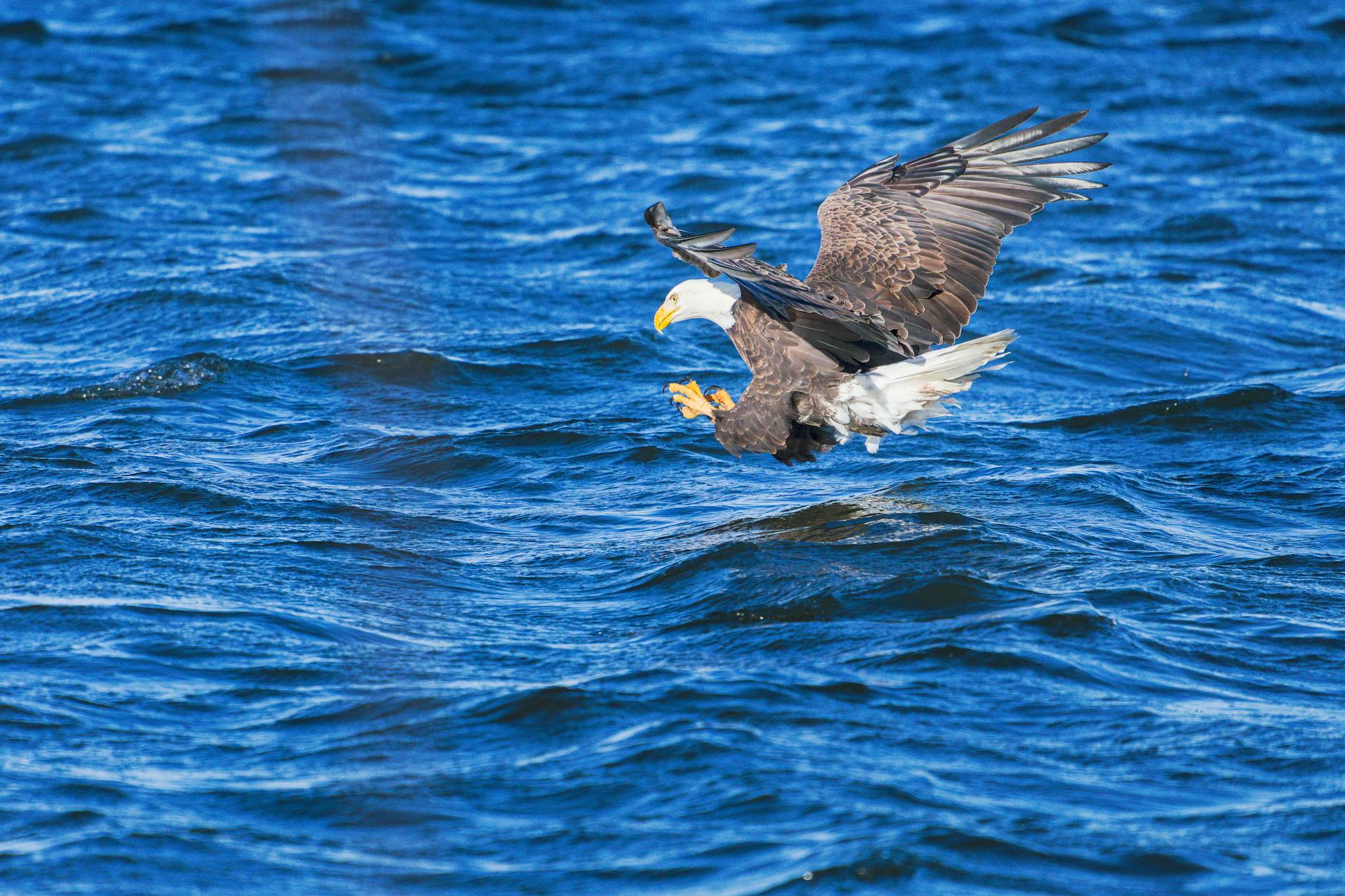 Symbolbild zum Thema Liverpool – Tottenham