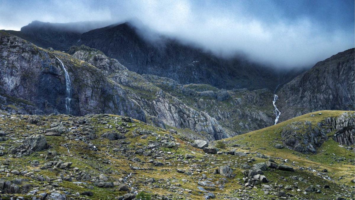 Löwenzahn Wirkung Gehirn Symbolbild zum Thema Löwenzahn Wirkung Gehirn