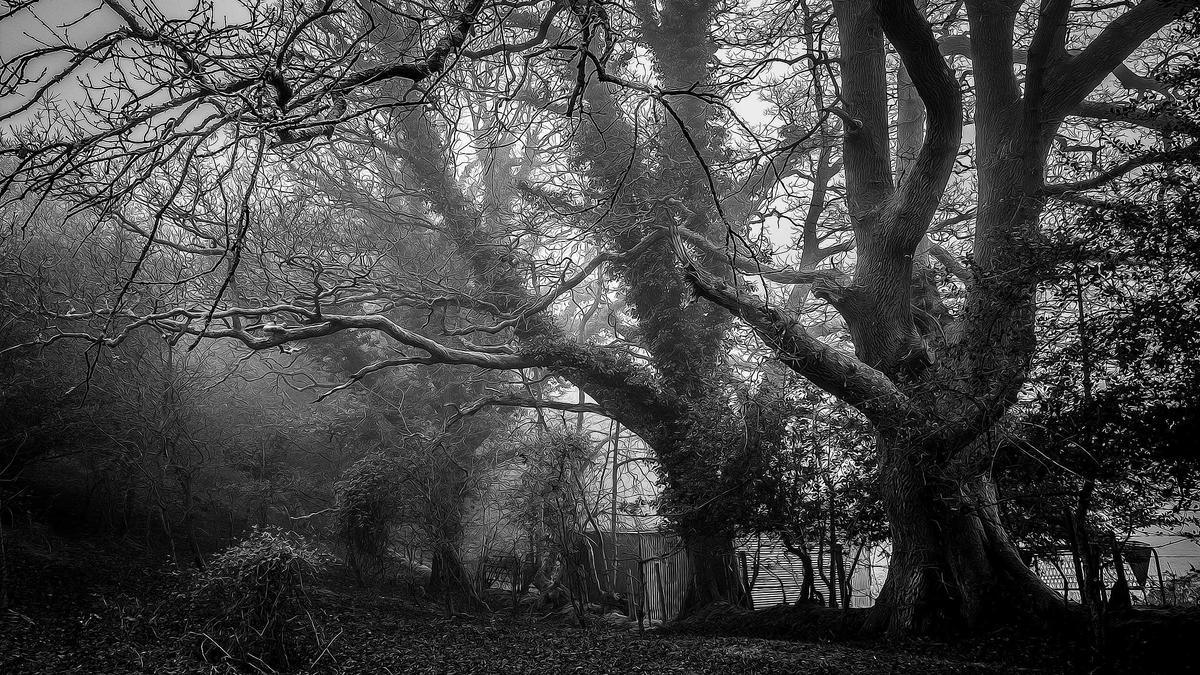 Illustration zu Markus Babbel