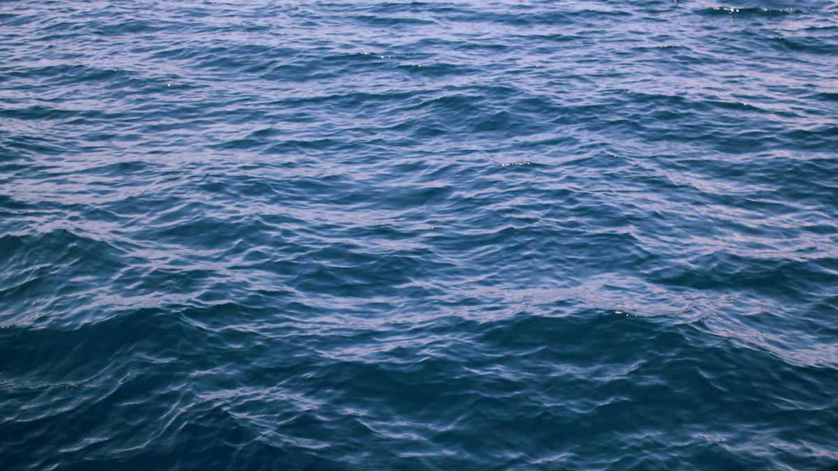 Matt Dillon Heute Symbolbild zum Thema Matt Dillon Heute