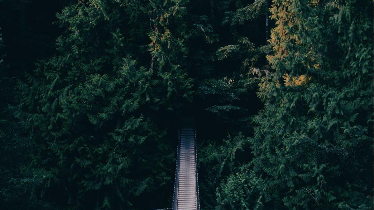 Merinowolle Waschen Symbolbild zum Thema Merinowolle Waschen