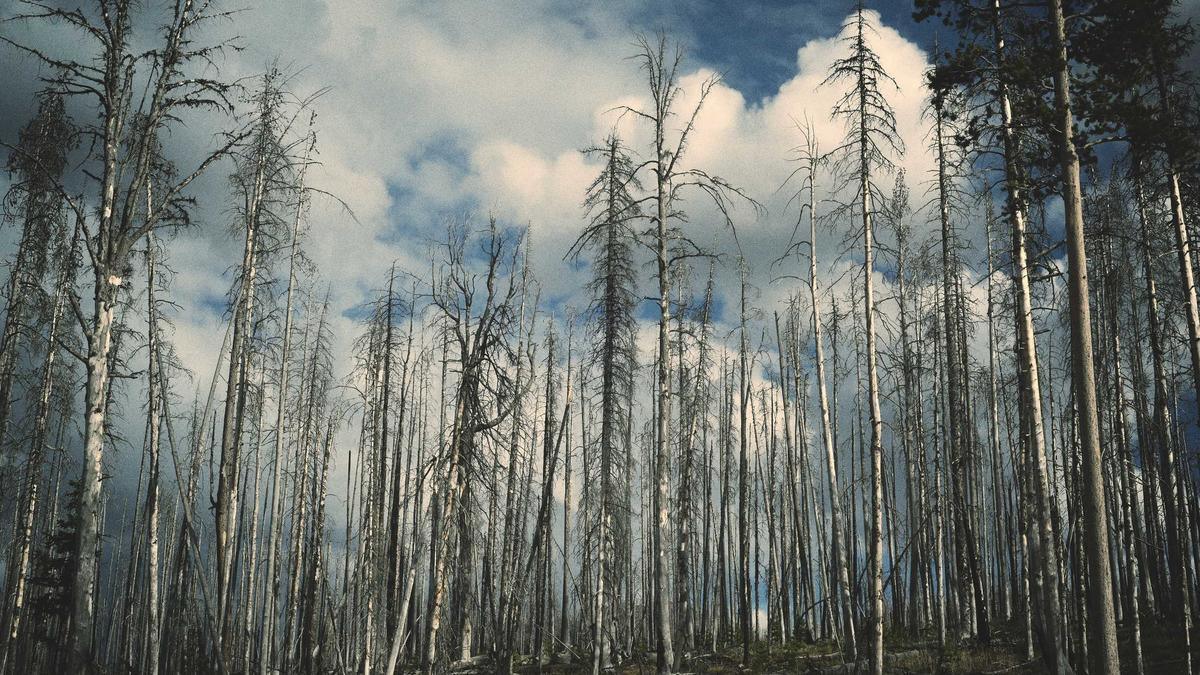 Symbolbild zum Thema Migros Umstrukturierung