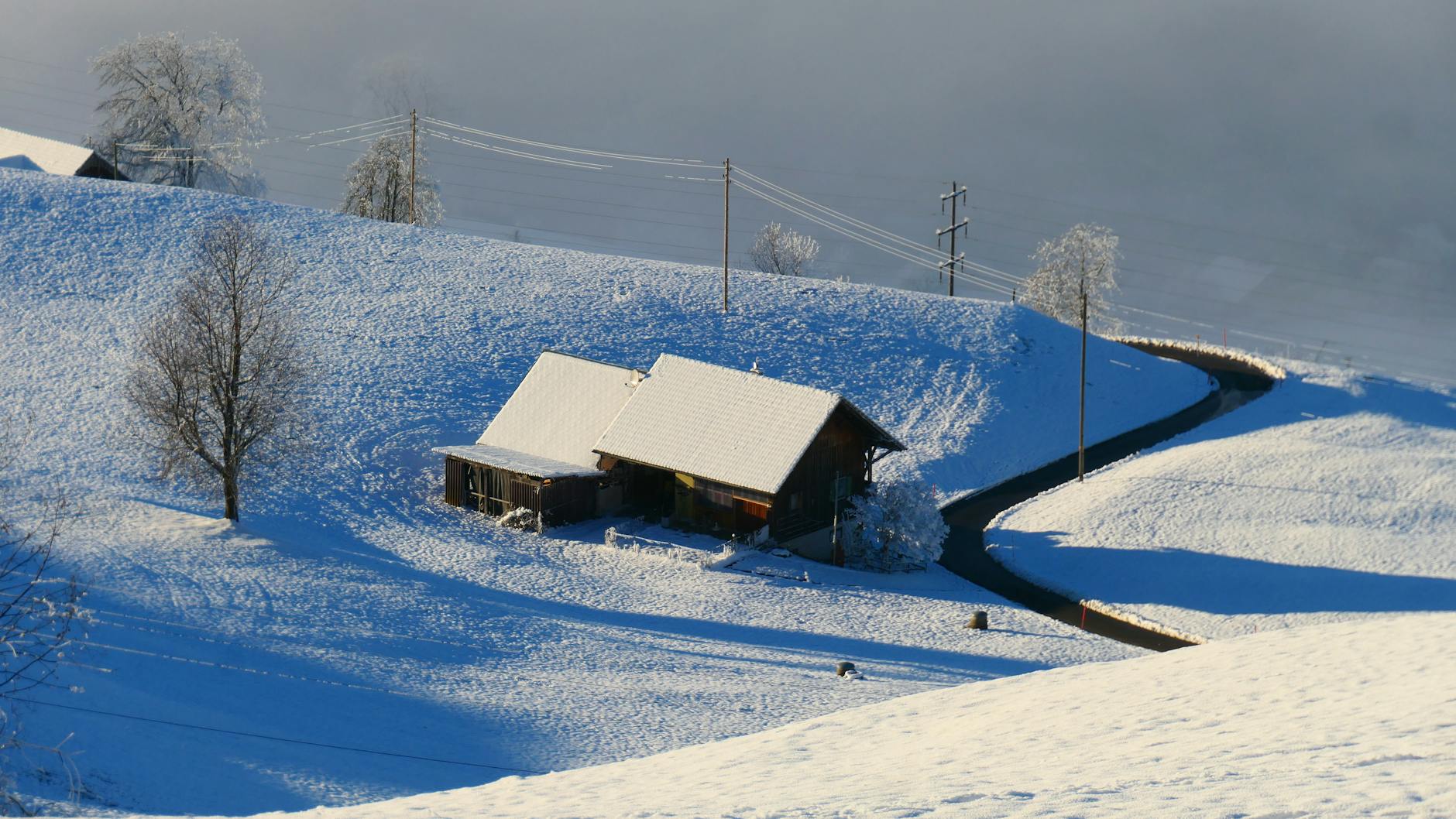 Detailansicht: Neuschnee Schweiz