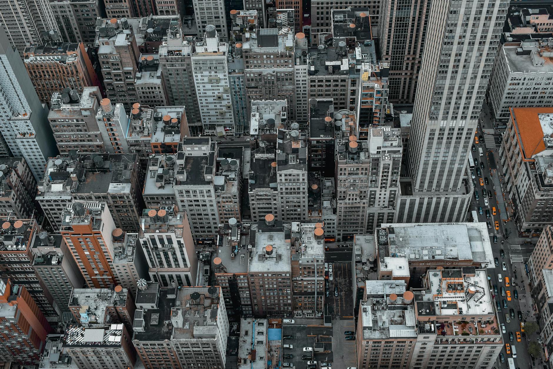 Detailansicht: Nicolas Jackson