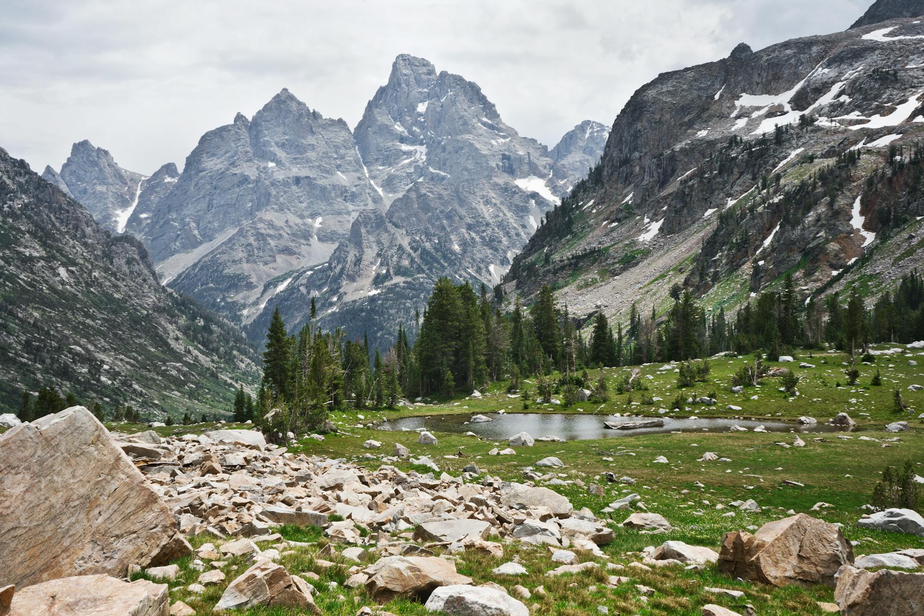 Detailansicht: Nicolas Jackson