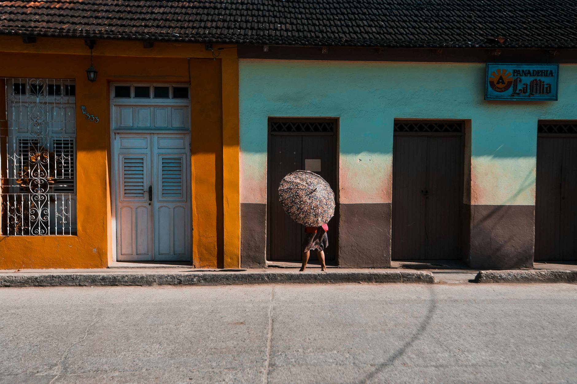 Illustration zu Nina Proll