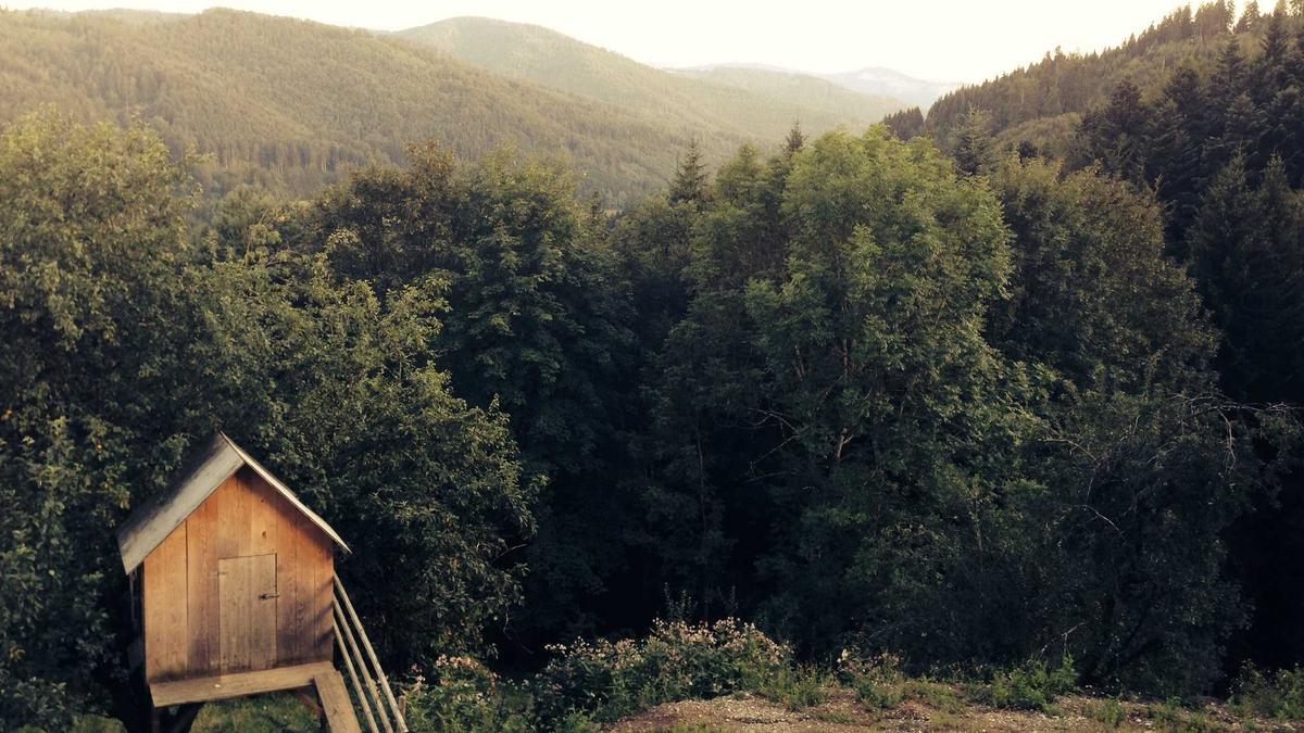 Nvidia Aktie Detailansicht: Nvidia Aktie