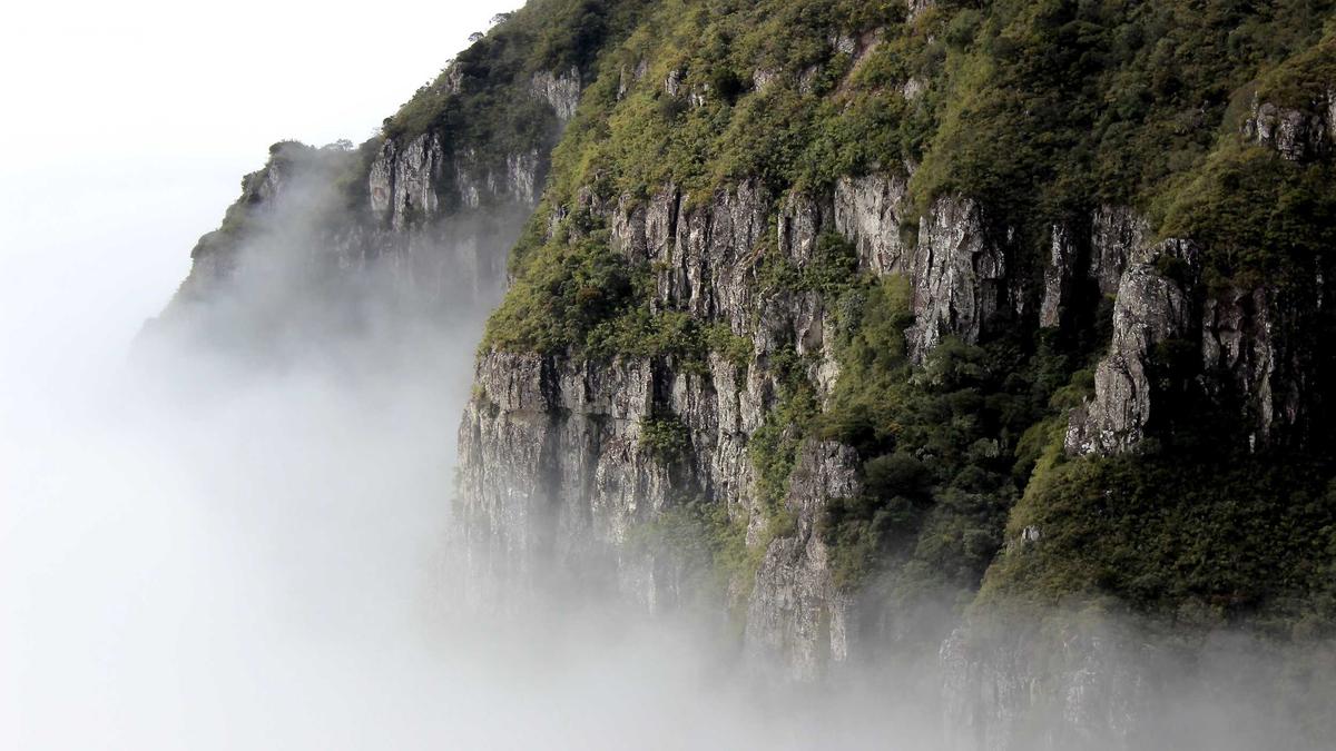 Detailansicht: Oliver Blume