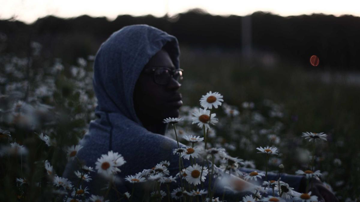 Pedro Pascal Illustration zu Pedro Pascal