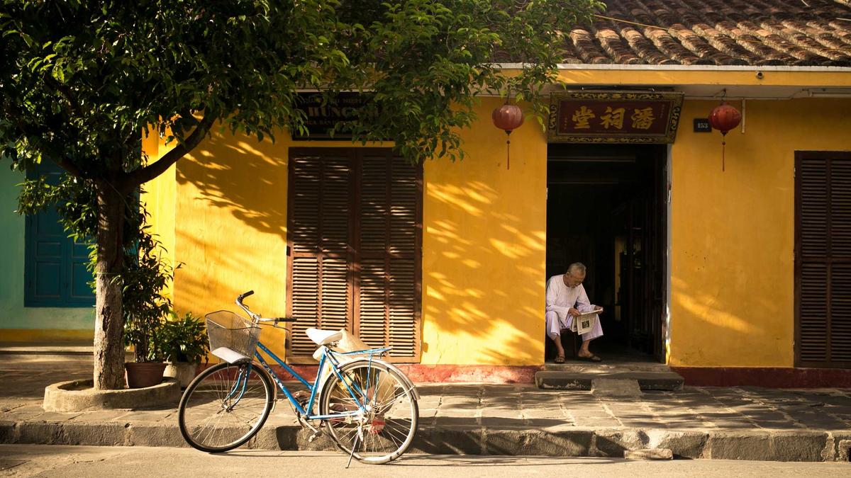 Detailansicht: Pflastersteine Reinigen