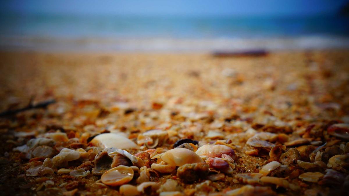 Symbolbild zum Thema Phillies – Rangers