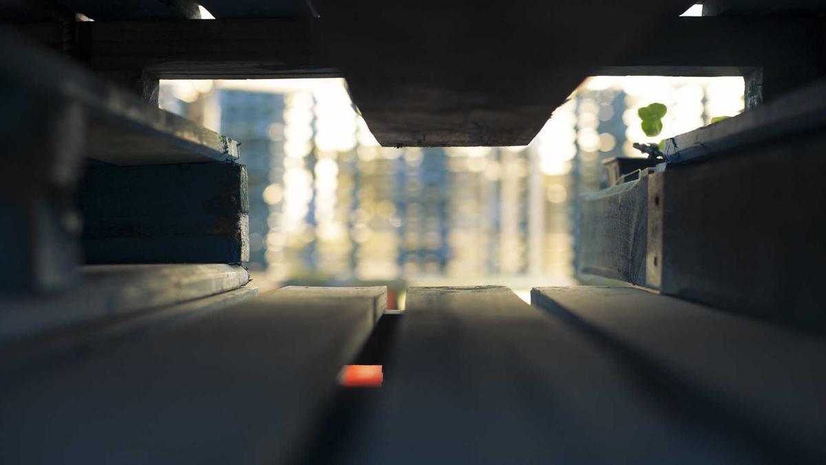 Detailansicht: Quizduell