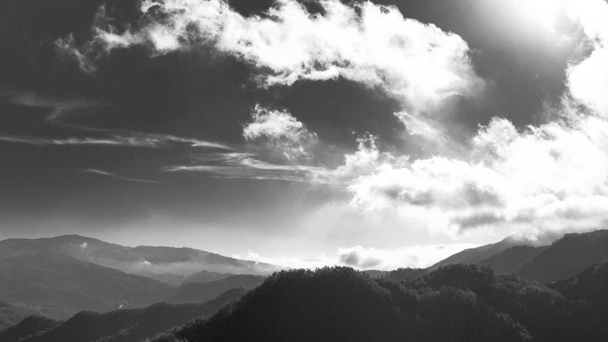 Detailansicht: Randal Kolo Muani