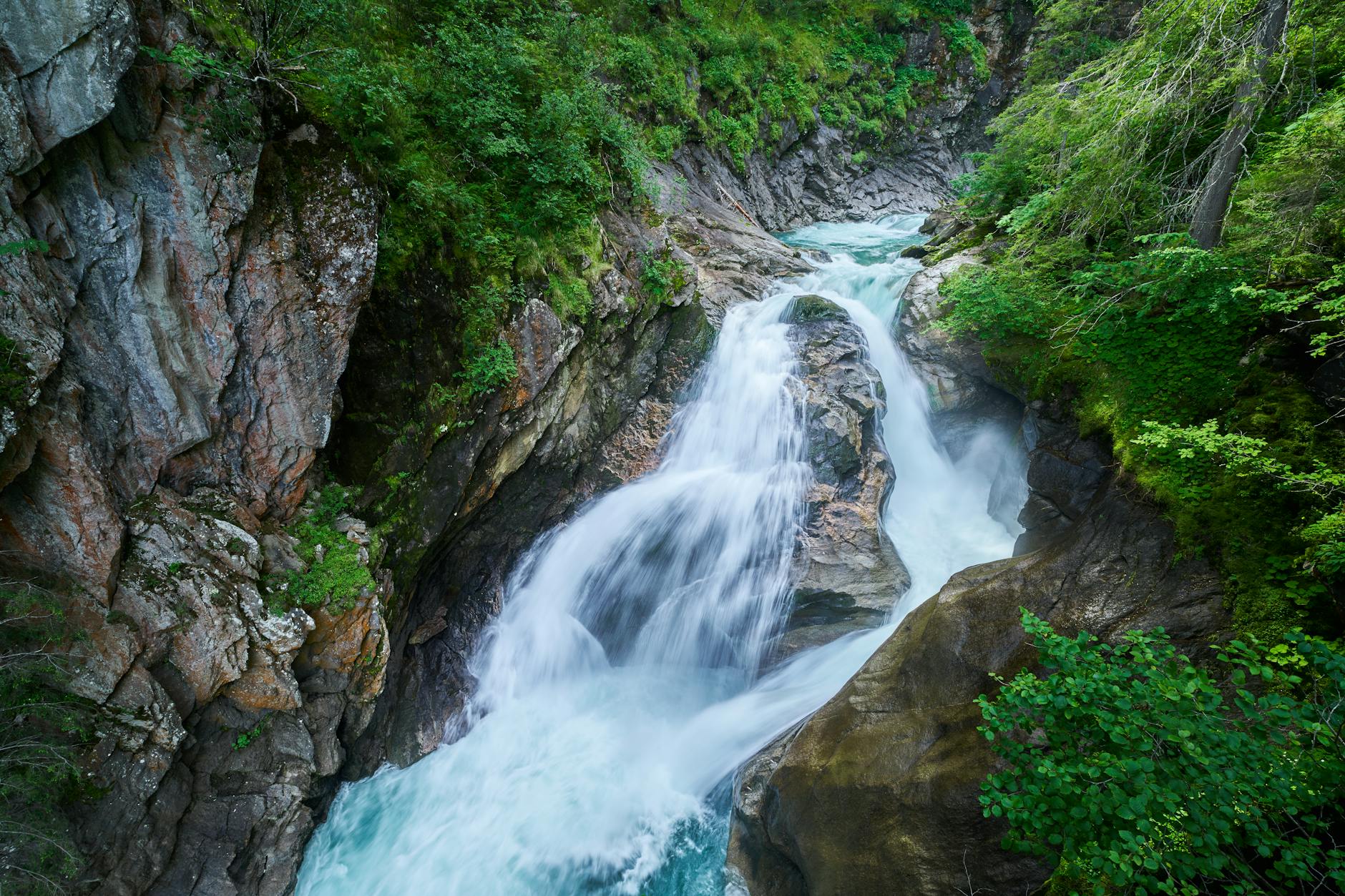 Illustration zu Rapid Wien – RB Salzburg