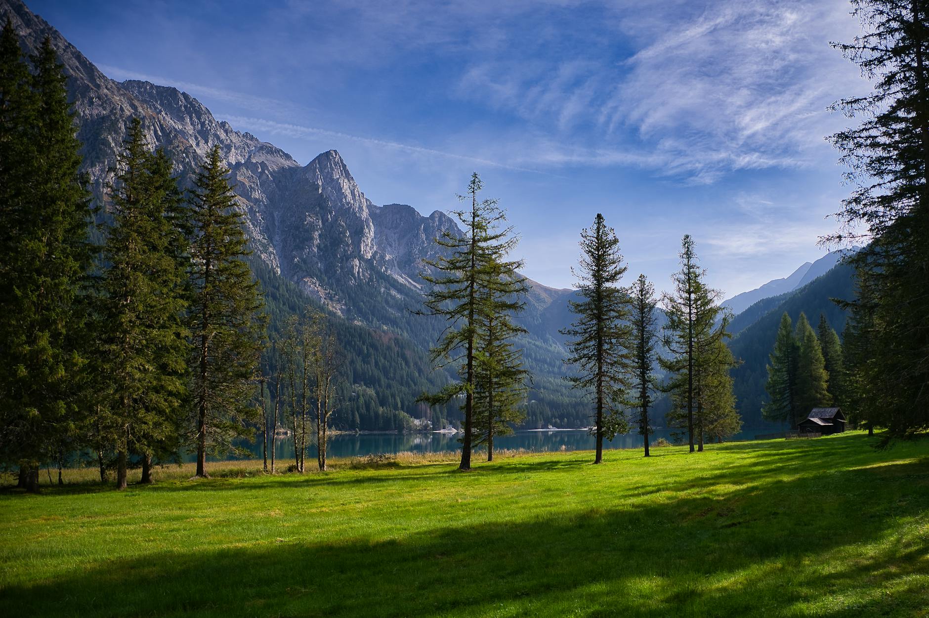 Detailansicht: Rasen Sanden
