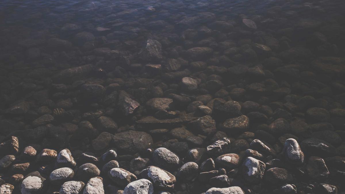 Symbolbild zum Thema Roger Cicero Karriere