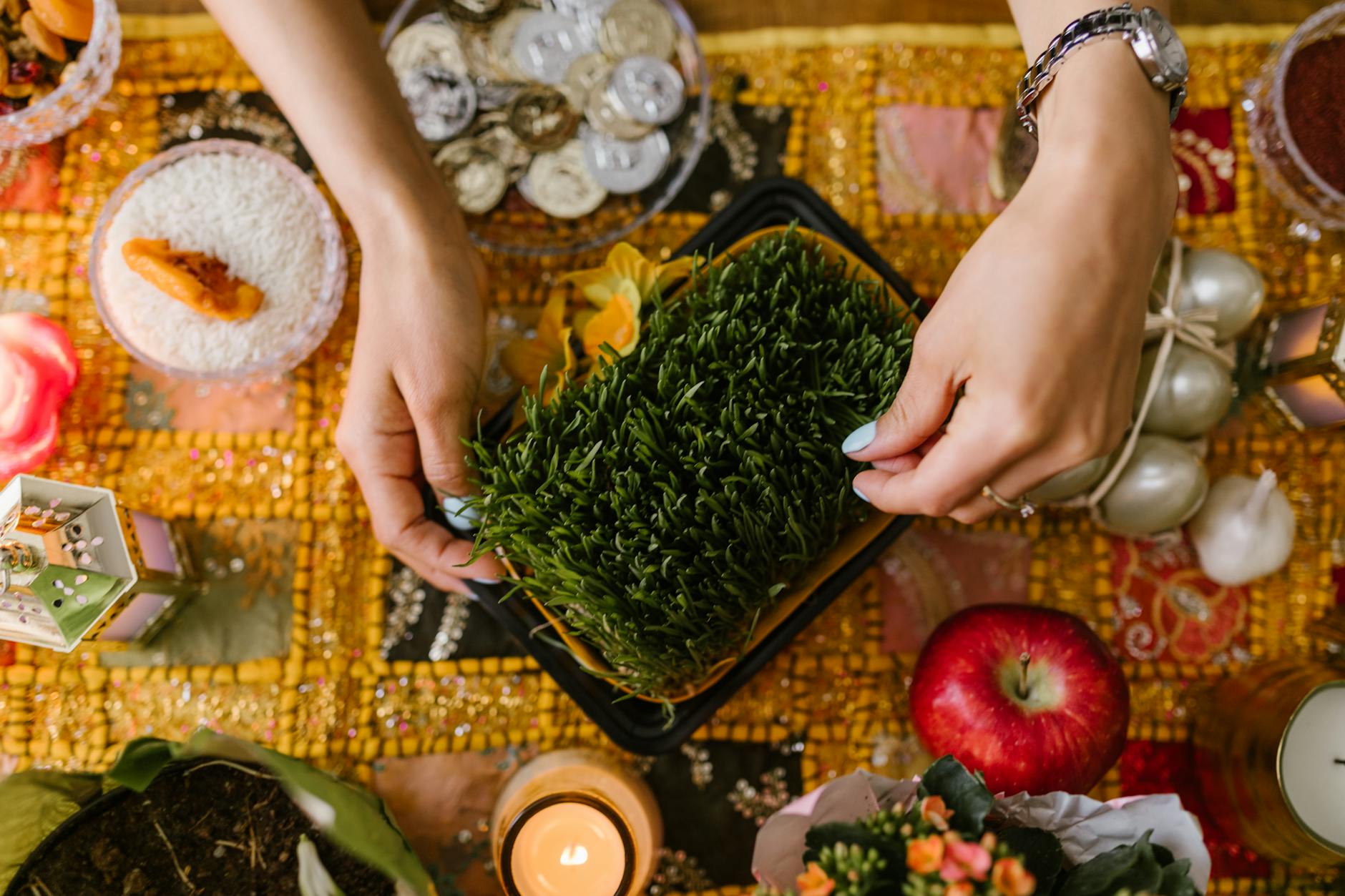 Detailansicht: Russland Iran Krieg