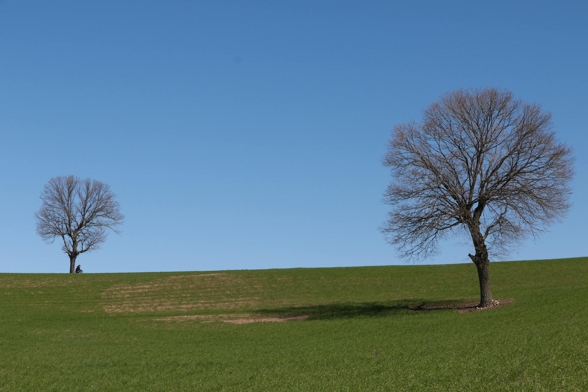 Illustration zu Ryanair