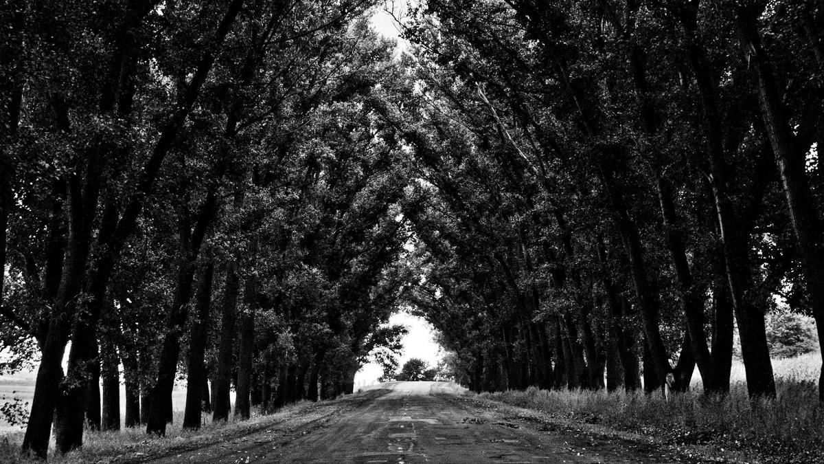 Symbolbild zum Thema Shia Labeouf