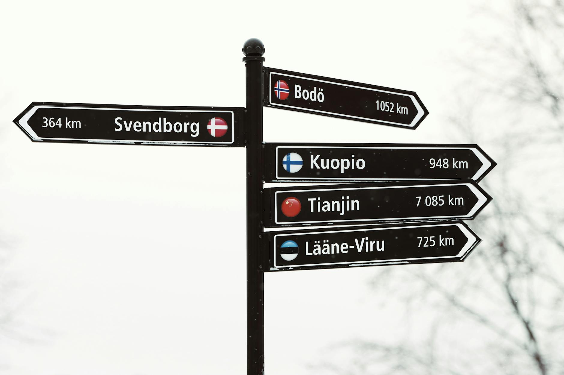 Symbolbild zum Thema Sporting – Bodø/glimt