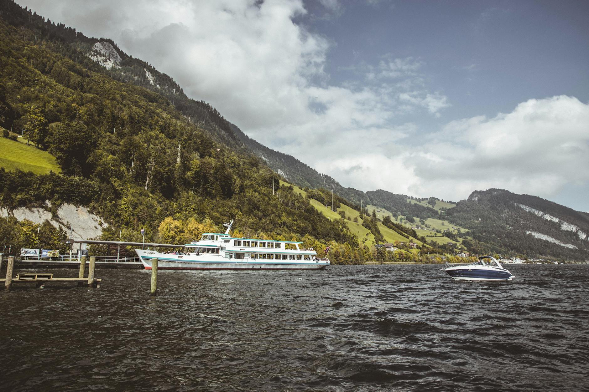 Suisse Norvege Detailansicht: Suisse Norvege