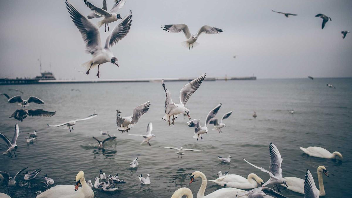 Symbolbild zum Thema Susen Tiedtke