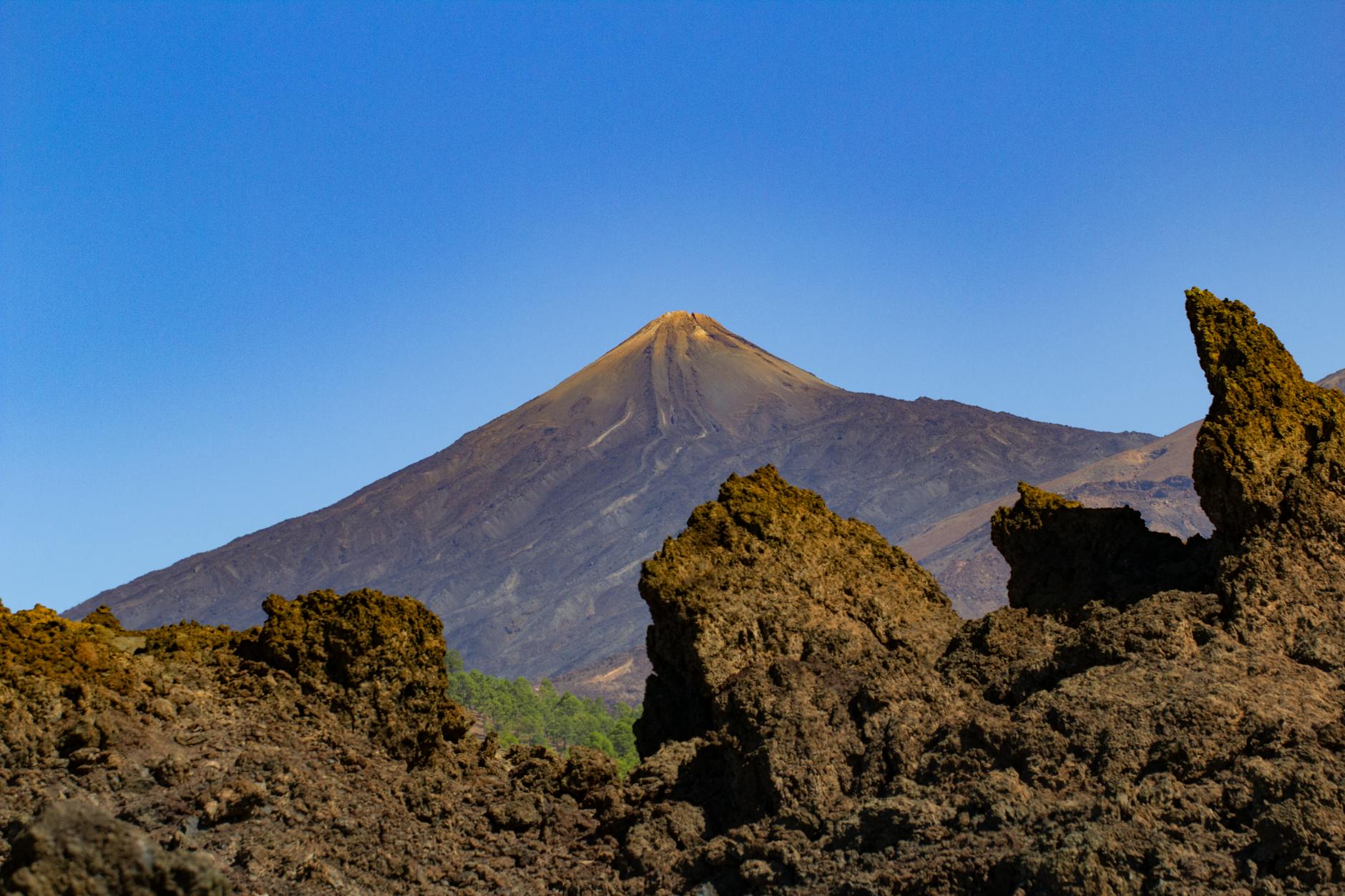 Teneriffa Teide Vulkanausbruch Detailansicht: Teneriffa Teide Vulkanausbruch