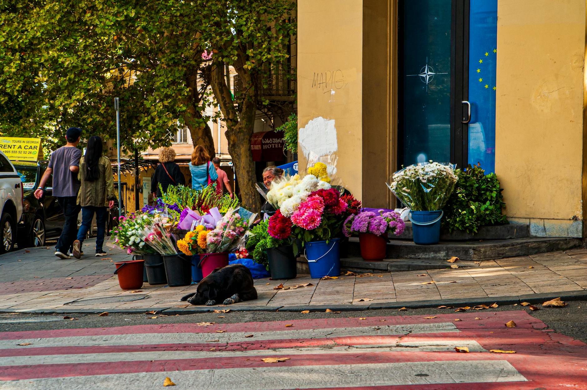 Trump NATO Iran Detailansicht: Trump NATO Iran