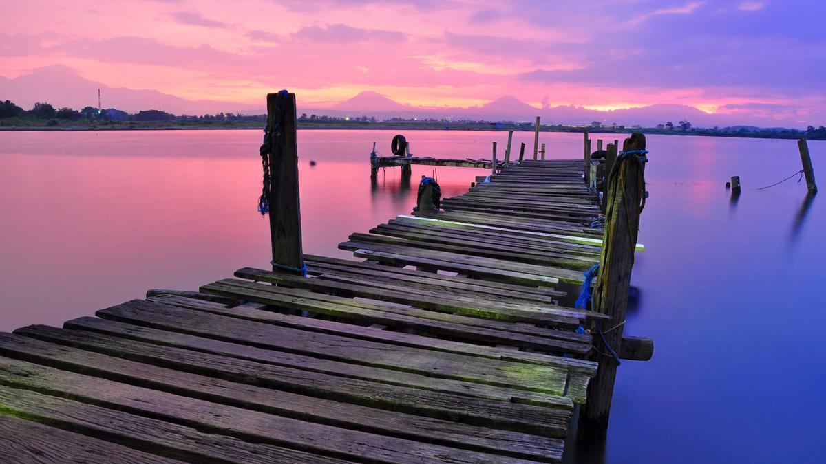 Symbolbild zum Thema Ufc Fight Night