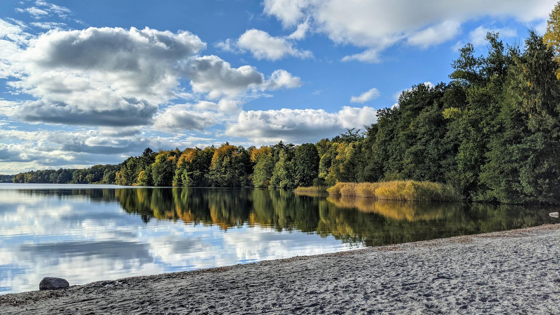 Detailansicht: Wolfsburg – HSV