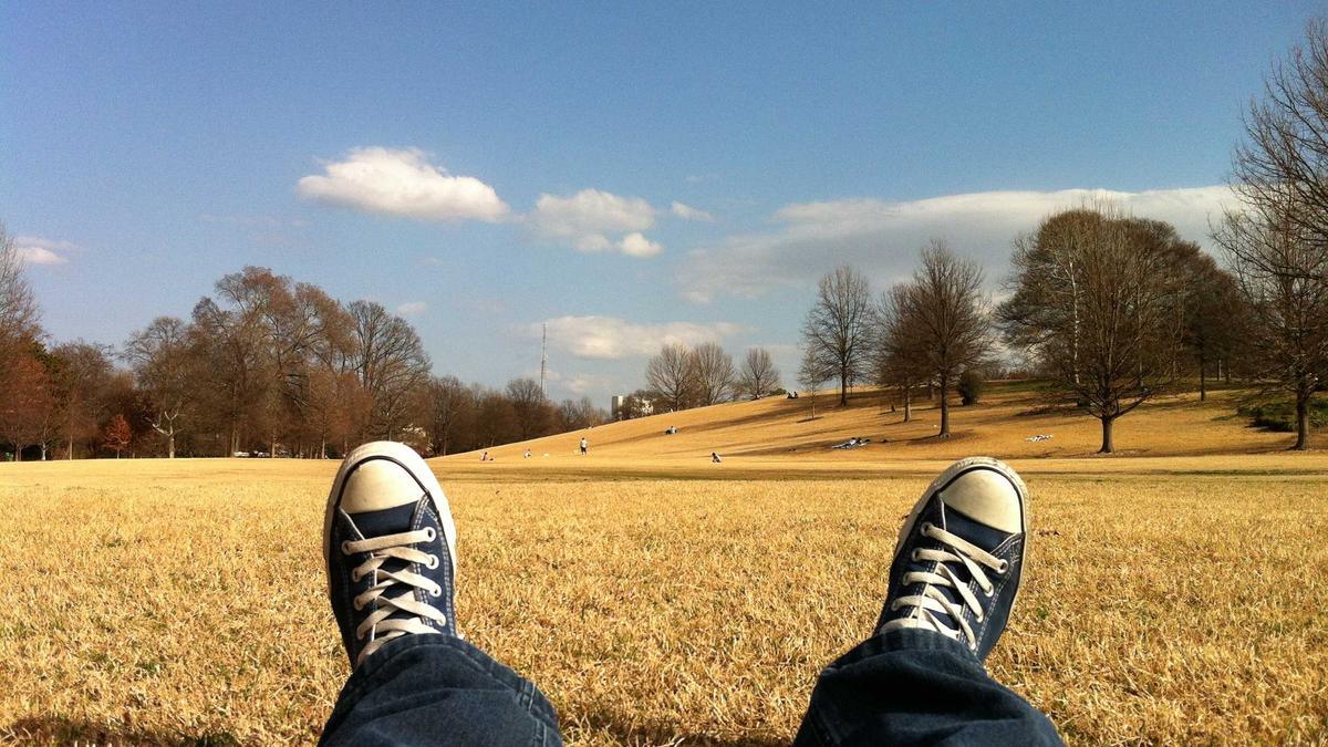 Illustration zu Wolfsburg – Werder Bremen