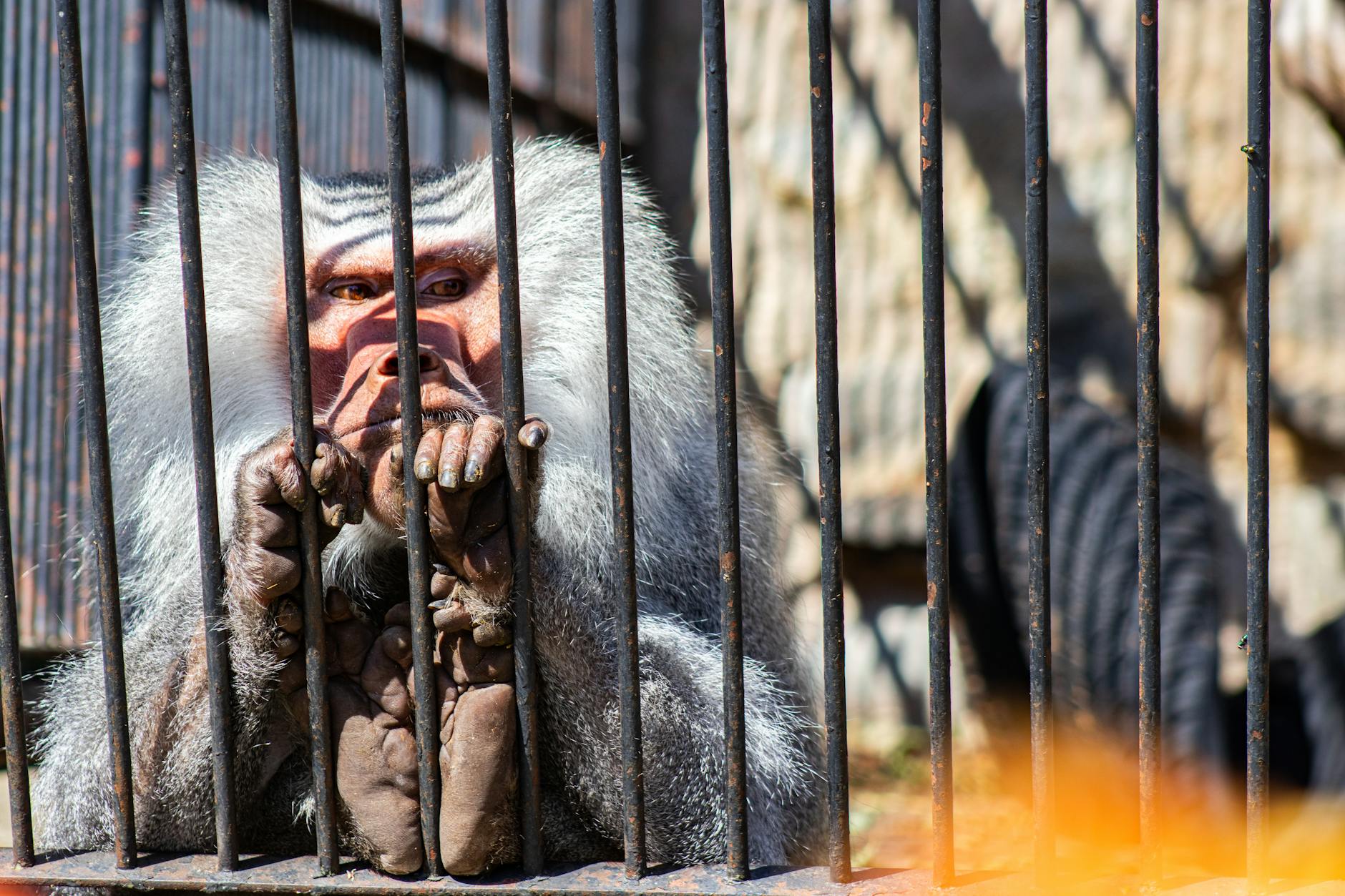 sienna miller – Foto: Jiří Dočkal / Pexels