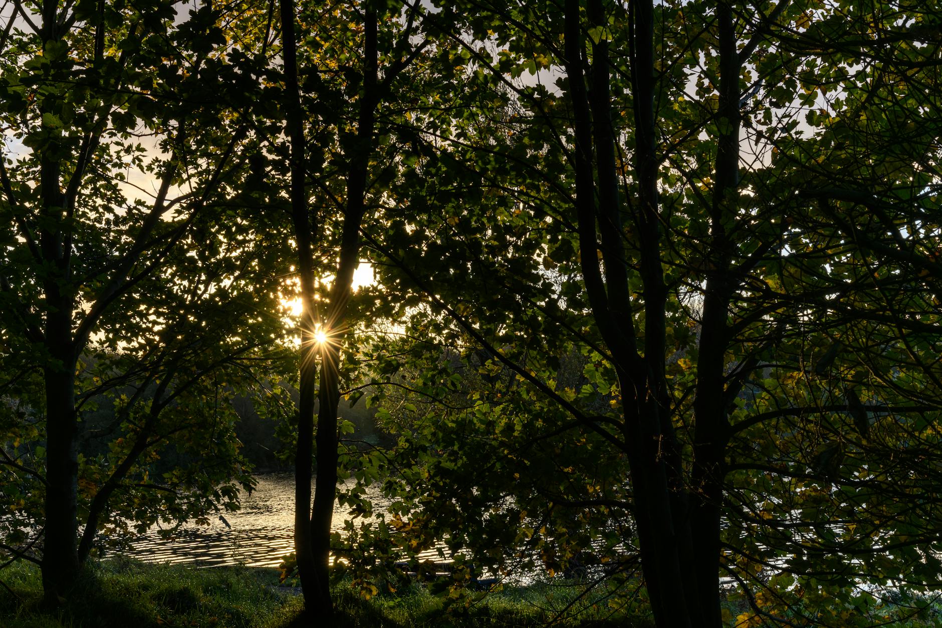 ARD Sportschau – Foto: Irek Marcinkowski / Pexels