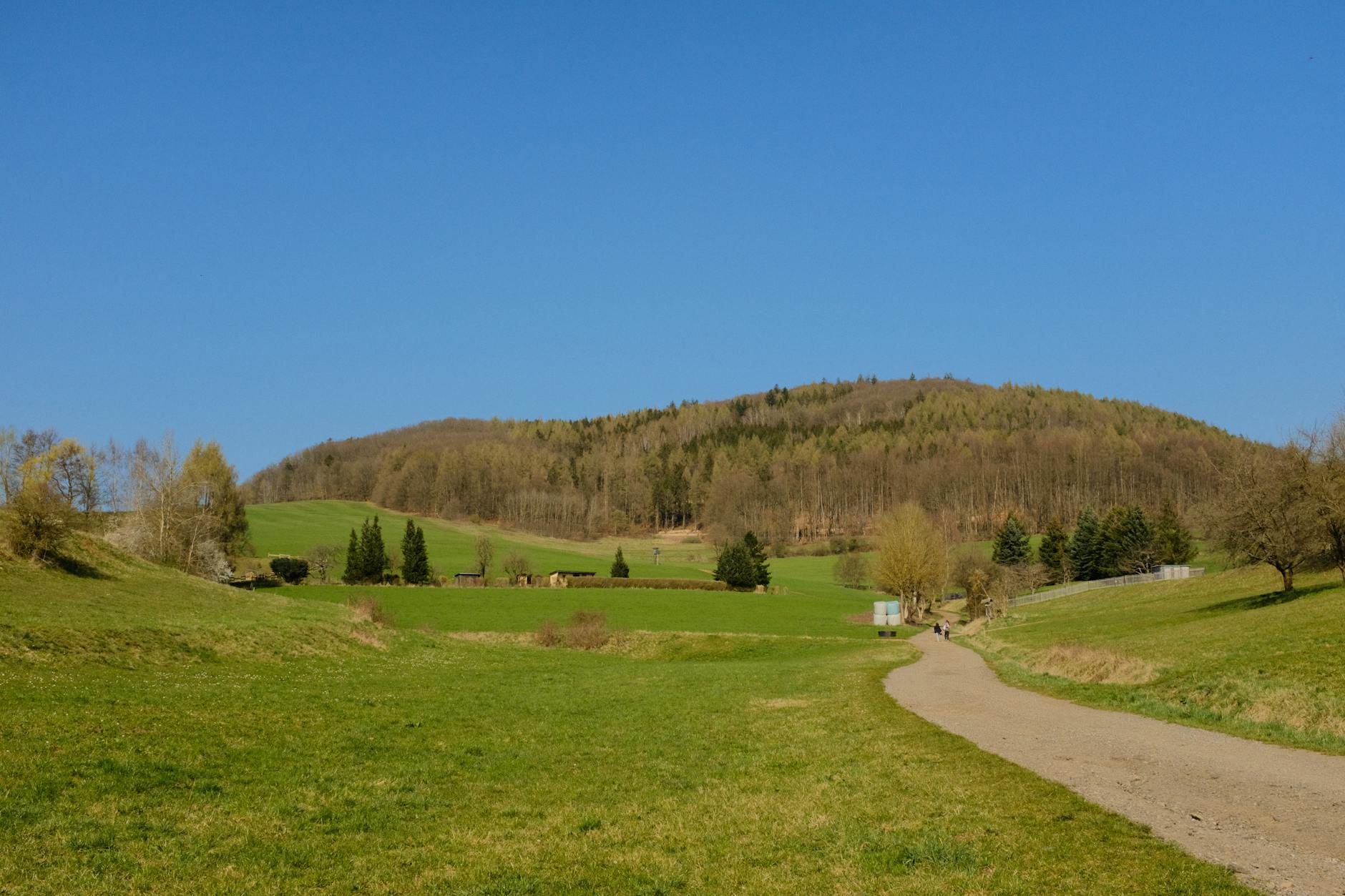 große Promibacken Finale – Foto: Red Nguyen / Pexels