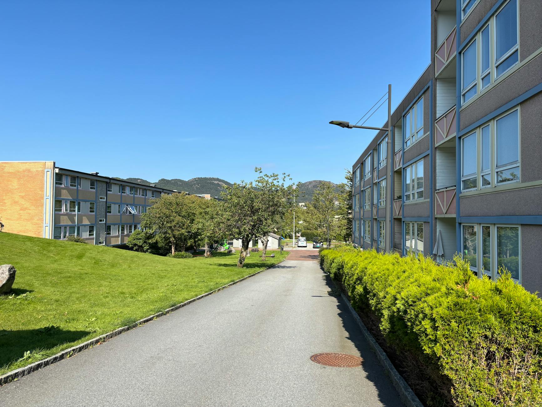 Malcolm – Foto: ASHOK KAPALI / Pexels