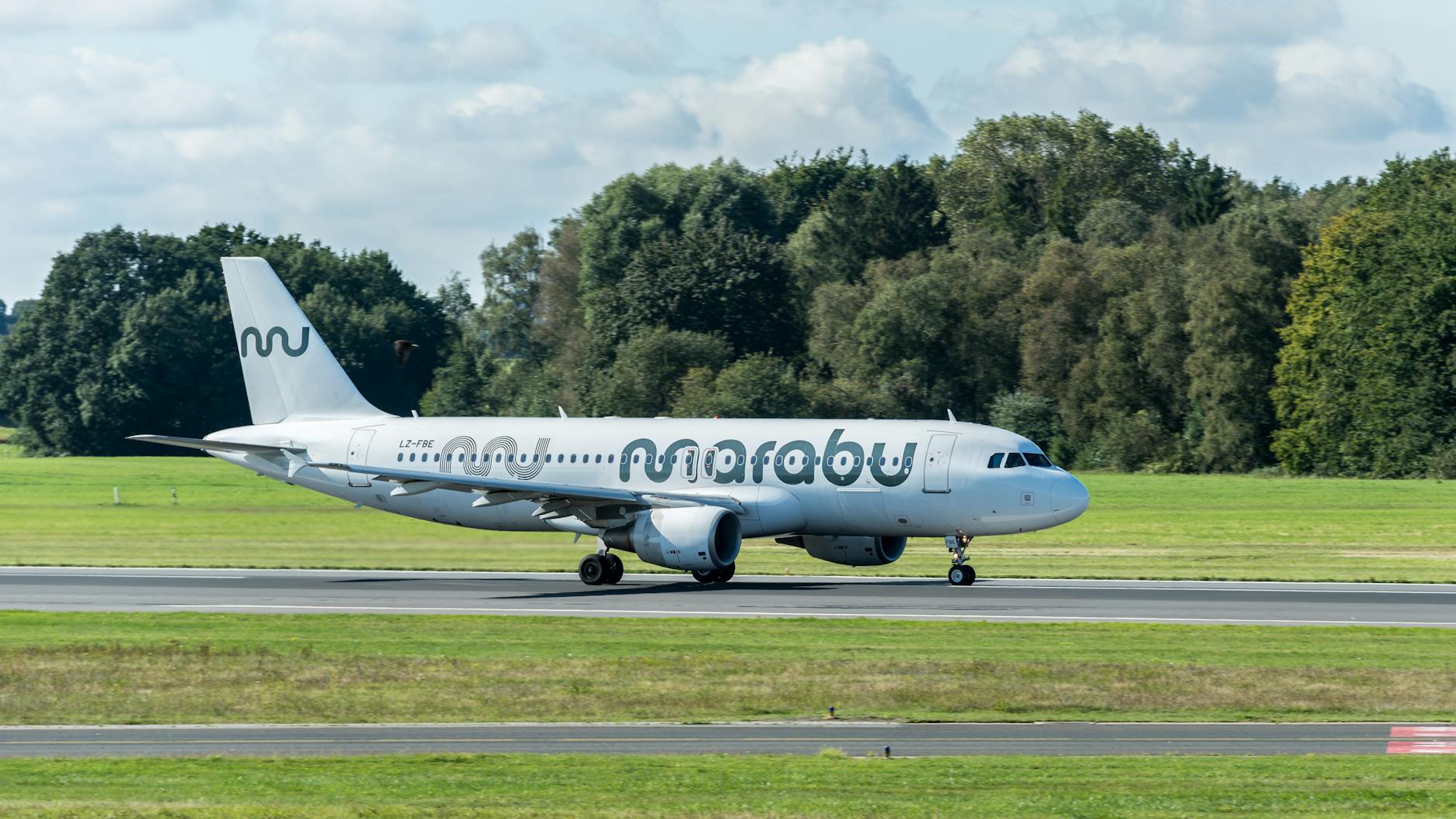 Detailansicht: Airbus